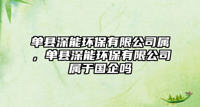 單縣深能環(huán)保有限公司屬，單縣深能環(huán)保有限公司屬于國(guó)企嗎