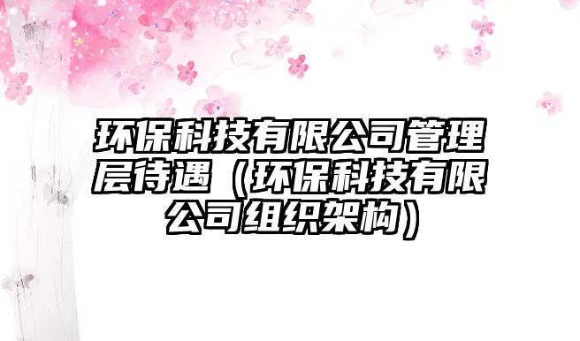環(huán)保科技有限公司管理層待遇（環(huán)?？萍加邢薰窘M織架構(gòu)）