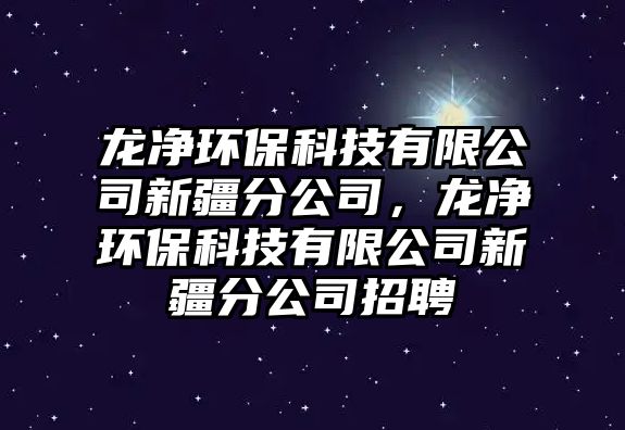 龍凈環(huán)保科技有限公司新疆分公司，龍凈環(huán)保科技有限公司新疆分公司招聘