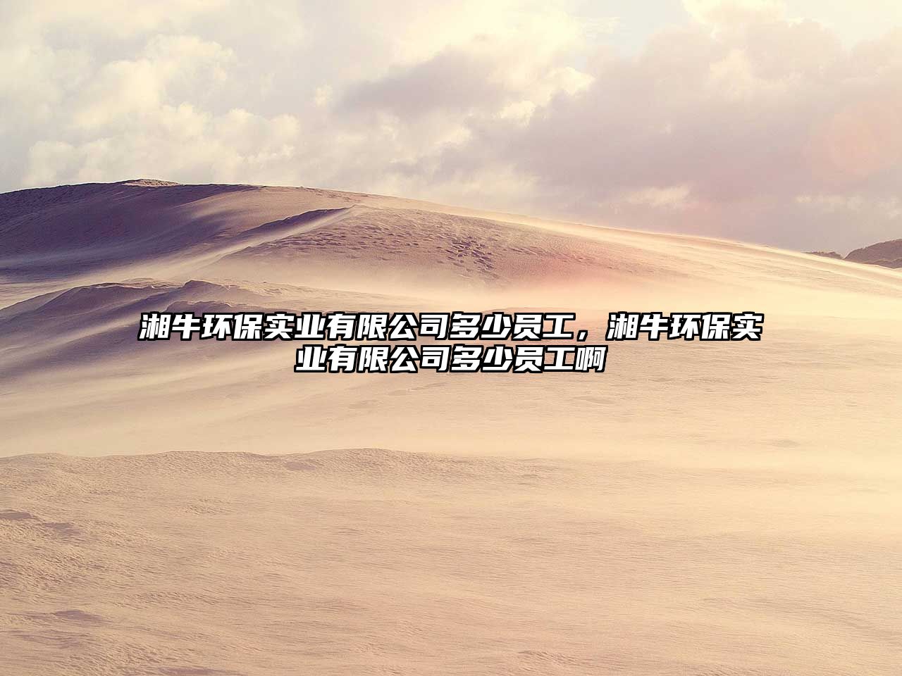 湘牛環(huán)保實(shí)業(yè)有限公司多少員工，湘牛環(huán)保實(shí)業(yè)有限公司多少員工啊