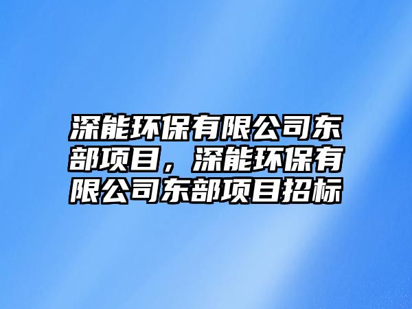 深能環(huán)保有限公司東部項目，深能環(huán)保有限公司東部項目招標(biāo)
