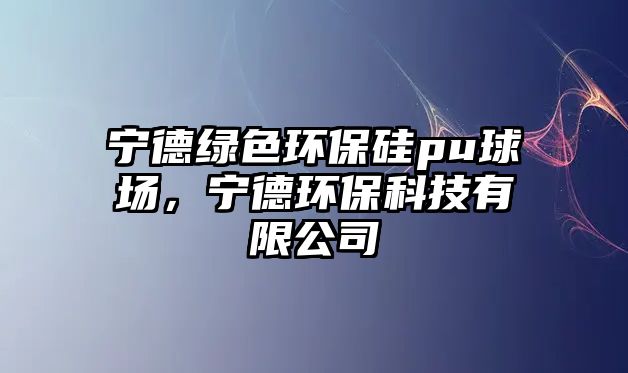 寧德綠色環(huán)保硅pu球場(chǎng)，寧德環(huán)保科技有限公司
