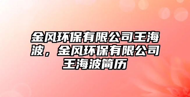 金風環(huán)保有限公司王海波，金風環(huán)保有限公司王海波簡歷