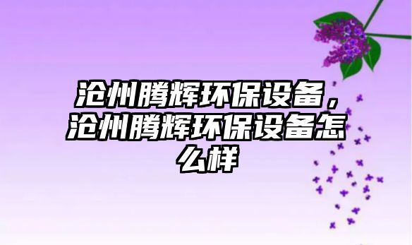 滄州騰輝環(huán)保設(shè)備，滄州騰輝環(huán)保設(shè)備怎么樣