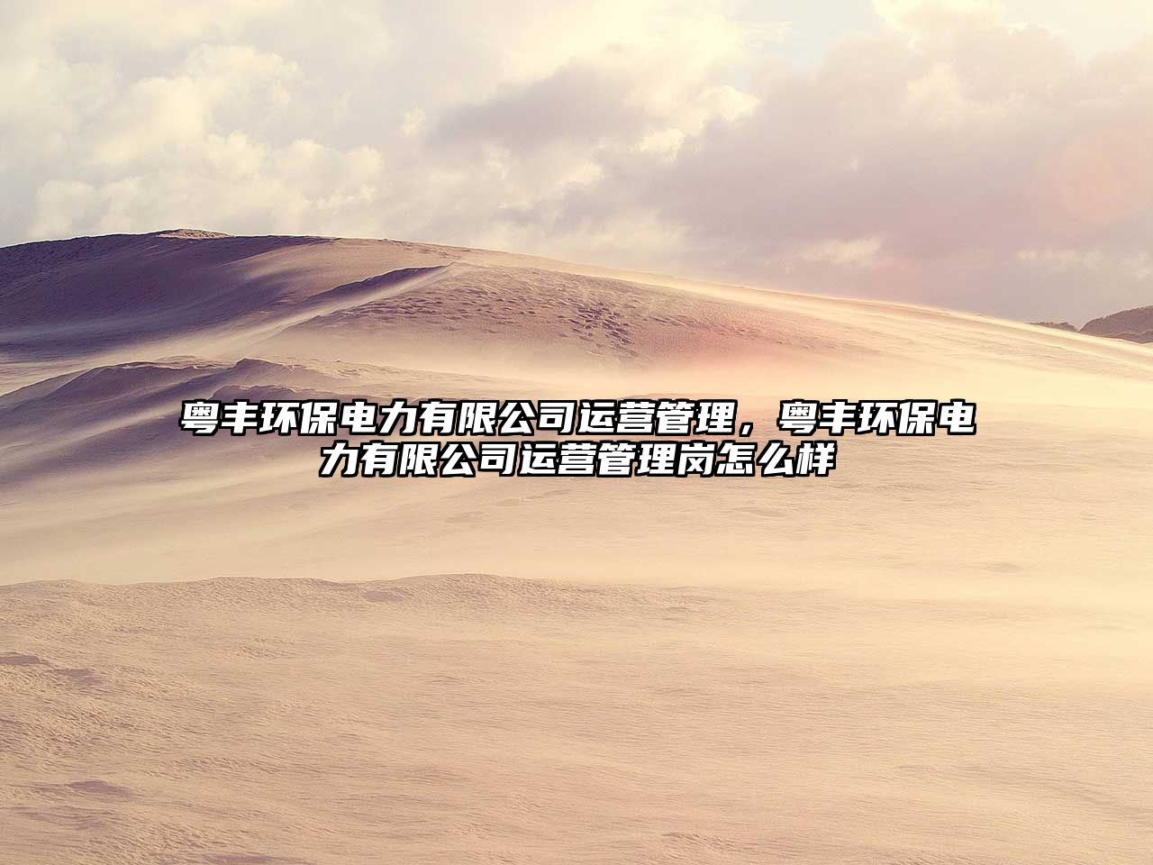 粵豐環(huán)保電力有限公司運(yùn)營管理，粵豐環(huán)保電力有限公司運(yùn)營管理崗怎么樣