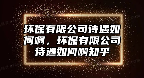 環(huán)保有限公司待遇如何啊，環(huán)保有限公司待遇如何啊知乎