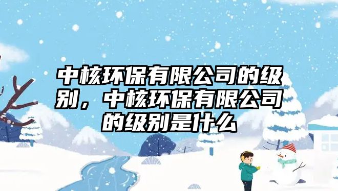中核環(huán)保有限公司的級(jí)別，中核環(huán)保有限公司的級(jí)別是什么