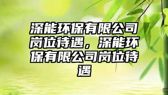 深能環(huán)保有限公司崗位待遇，深能環(huán)保有限公司崗位待遇