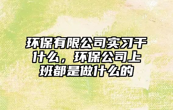 環(huán)保有限公司實習(xí)干什么，環(huán)保公司上班都是做什么的