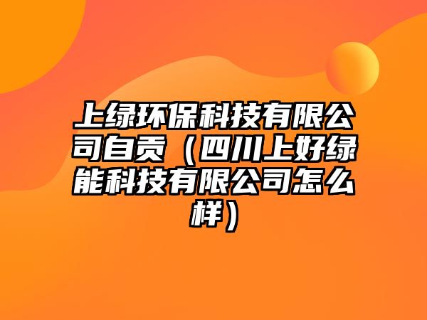 上綠環(huán)?？萍加邢薰咀载暎ㄋ拇ㄉ虾镁G能科技有限公司怎么樣）