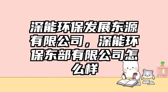 深能環(huán)保發(fā)展東源有限公司，深能環(huán)保東部有限公司怎么樣