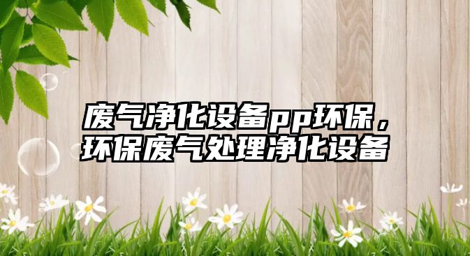 廢氣凈化設備pp環(huán)保，環(huán)保廢氣處理凈化設備
