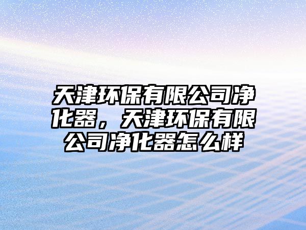 天津環(huán)保有限公司凈化器，天津環(huán)保有限公司凈化器怎么樣
