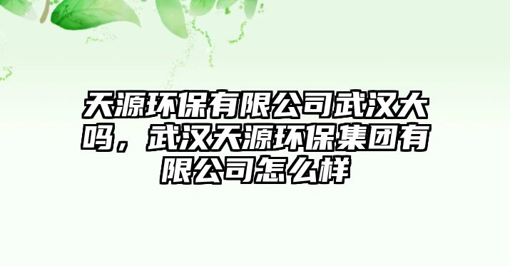 天源環(huán)保有限公司武漢大嗎，武漢天源環(huán)保集團(tuán)有限公司怎么樣