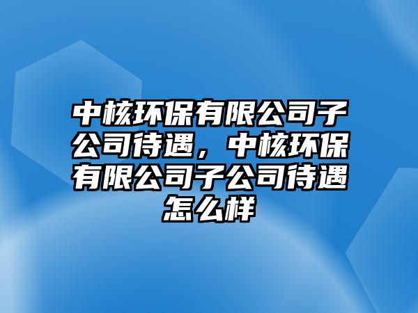 中核環(huán)保有限公司子公司待遇，中核環(huán)保有限公司子公司待遇怎么樣