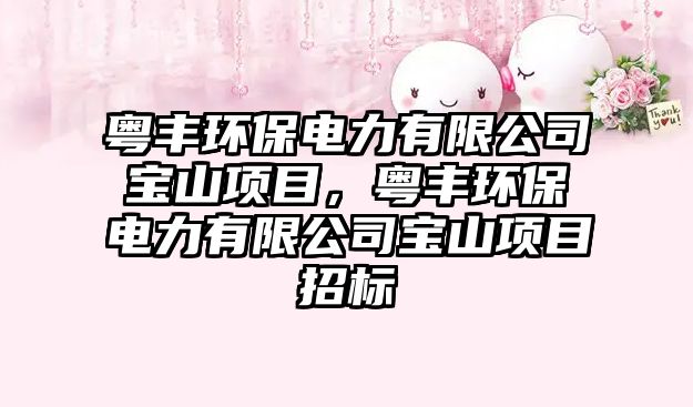 粵豐環(huán)保電力有限公司寶山項目，粵豐環(huán)保電力有限公司寶山項目招標