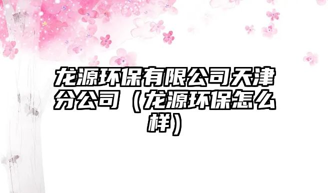 龍源環(huán)保有限公司天津分公司（龍源環(huán)保怎么樣）