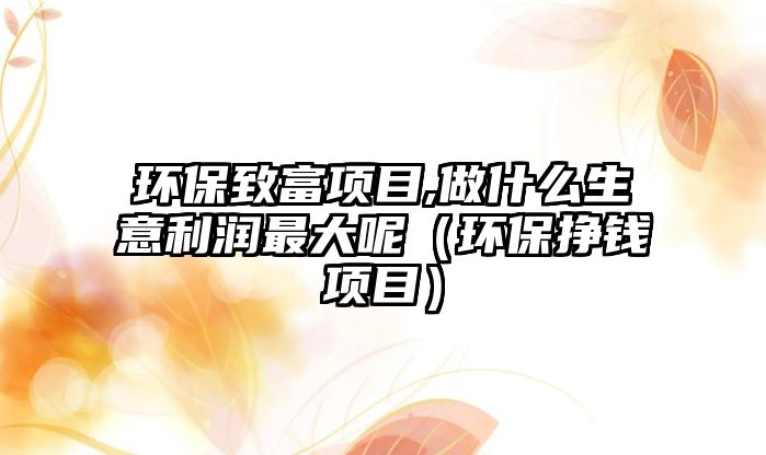 環(huán)保致富項(xiàng)目,做什么生意利潤(rùn)最大呢（環(huán)保掙錢項(xiàng)目）