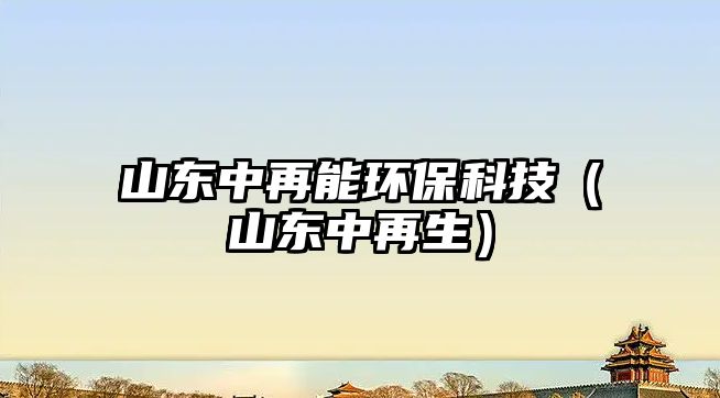 山東中再能環(huán)?？萍迹ㄉ綎|中再生）