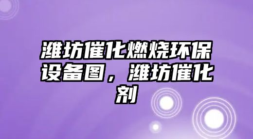濰坊催化燃燒環(huán)保設備圖，濰坊催化劑