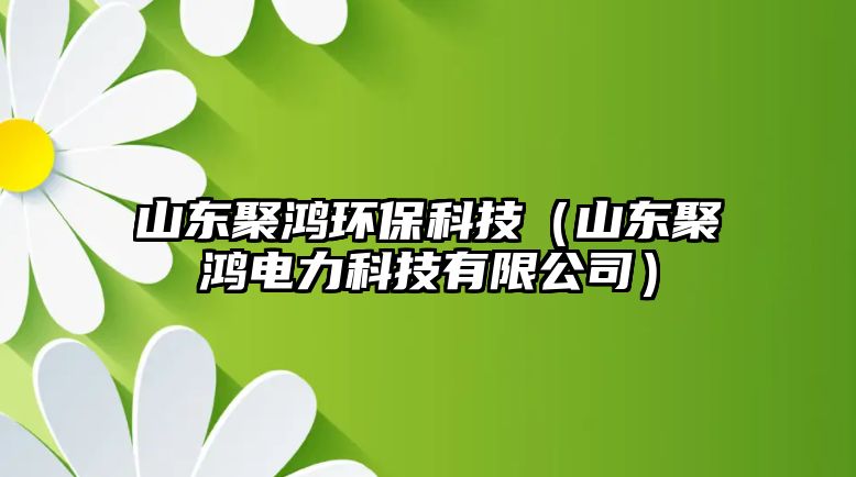 山東聚鴻環(huán)?？萍迹ㄉ綎|聚鴻電力科技有限公司）