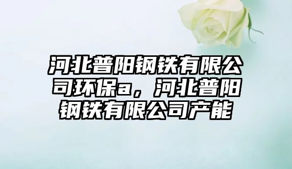 河北普陽(yáng)鋼鐵有限公司環(huán)保a，河北普陽(yáng)鋼鐵有限公司產(chǎn)能