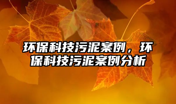 環(huán)?？萍嘉勰喟咐h(huán)?？萍嘉勰喟咐治?/> 
									</a>
									<h4 class=