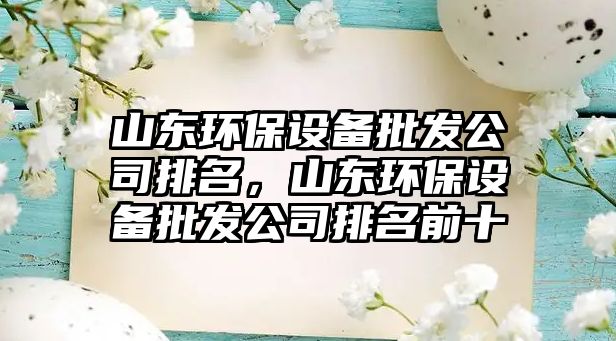 山東環(huán)保設(shè)備批發(fā)公司排名，山東環(huán)保設(shè)備批發(fā)公司排名前十