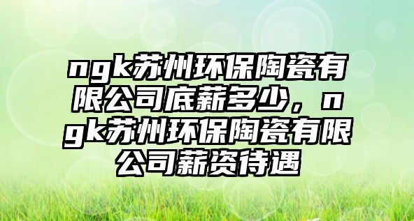 ngk蘇州環(huán)保陶瓷有限公司底薪多少，ngk蘇州環(huán)保陶瓷有限公司薪資待遇