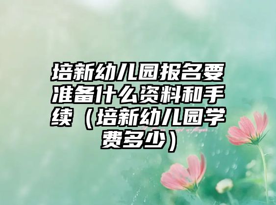 培新幼兒園報名要準備什么資料和手續(xù)（培新幼兒園學(xué)費多少）
