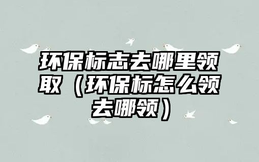 環(huán)保標志去哪里領?。ōh(huán)保標怎么領去哪領）