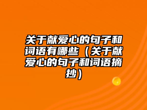 關于獻愛心的句子和詞語有哪些（關于獻愛心的句子和詞語摘抄）