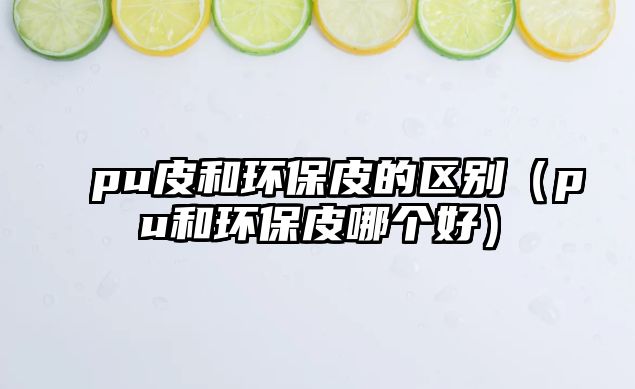 pu皮和環(huán)保皮的區(qū)別（pu和環(huán)保皮哪個(gè)好）