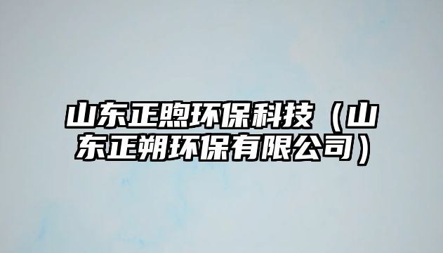 山東正煦環(huán)保科技（山東正朔環(huán)保有限公司）