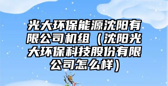 光大環(huán)保能源沈陽有限公司機組（沈陽光大環(huán)?？萍脊煞萦邢薰驹趺礃樱? class=