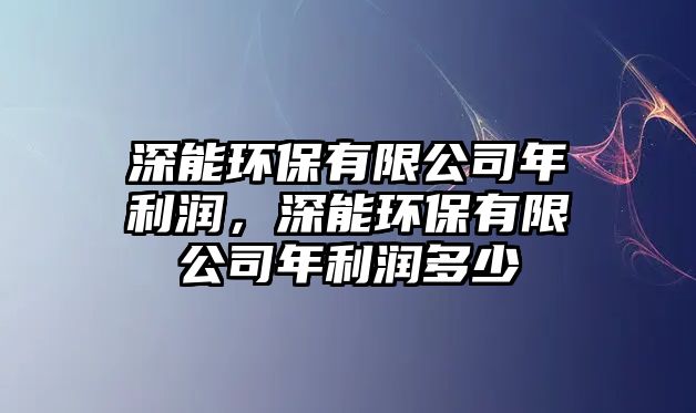 深能環(huán)保有限公司年利潤(rùn)，深能環(huán)保有限公司年利潤(rùn)多少