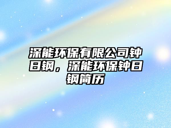 深能環(huán)保有限公司鐘日鋼，深能環(huán)保鐘日鋼簡歷