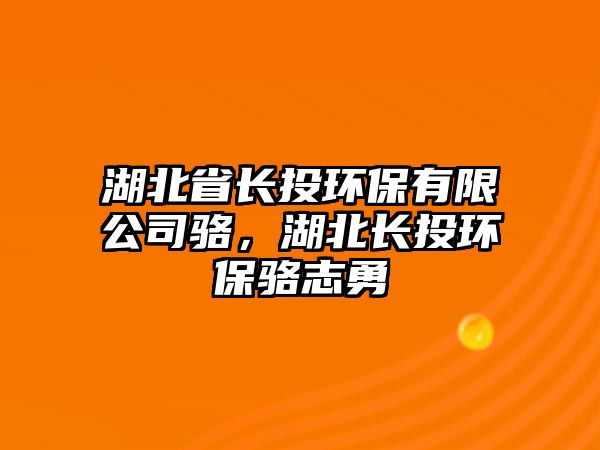 湖北省長投環(huán)保有限公司駱，湖北長投環(huán)保駱志勇