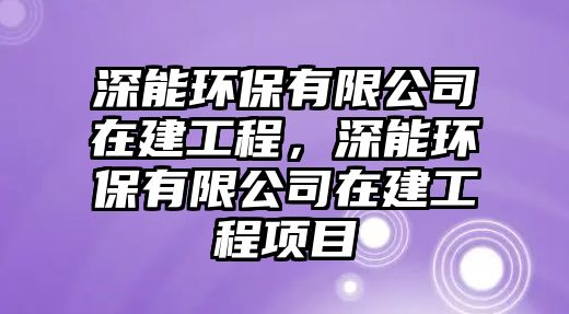 深能環(huán)保有限公司在建工程，深能環(huán)保有限公司在建工程項(xiàng)目