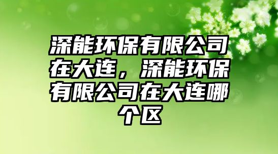 深能環(huán)保有限公司在大連，深能環(huán)保有限公司在大連哪個(gè)區(qū)