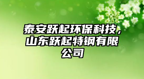泰安躍起環(huán)?？萍?，山東躍起特鋼有限公司