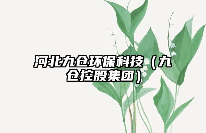 河北九倉(cāng)環(huán)?？萍迹ň艂}(cāng)控股集團(tuán)）