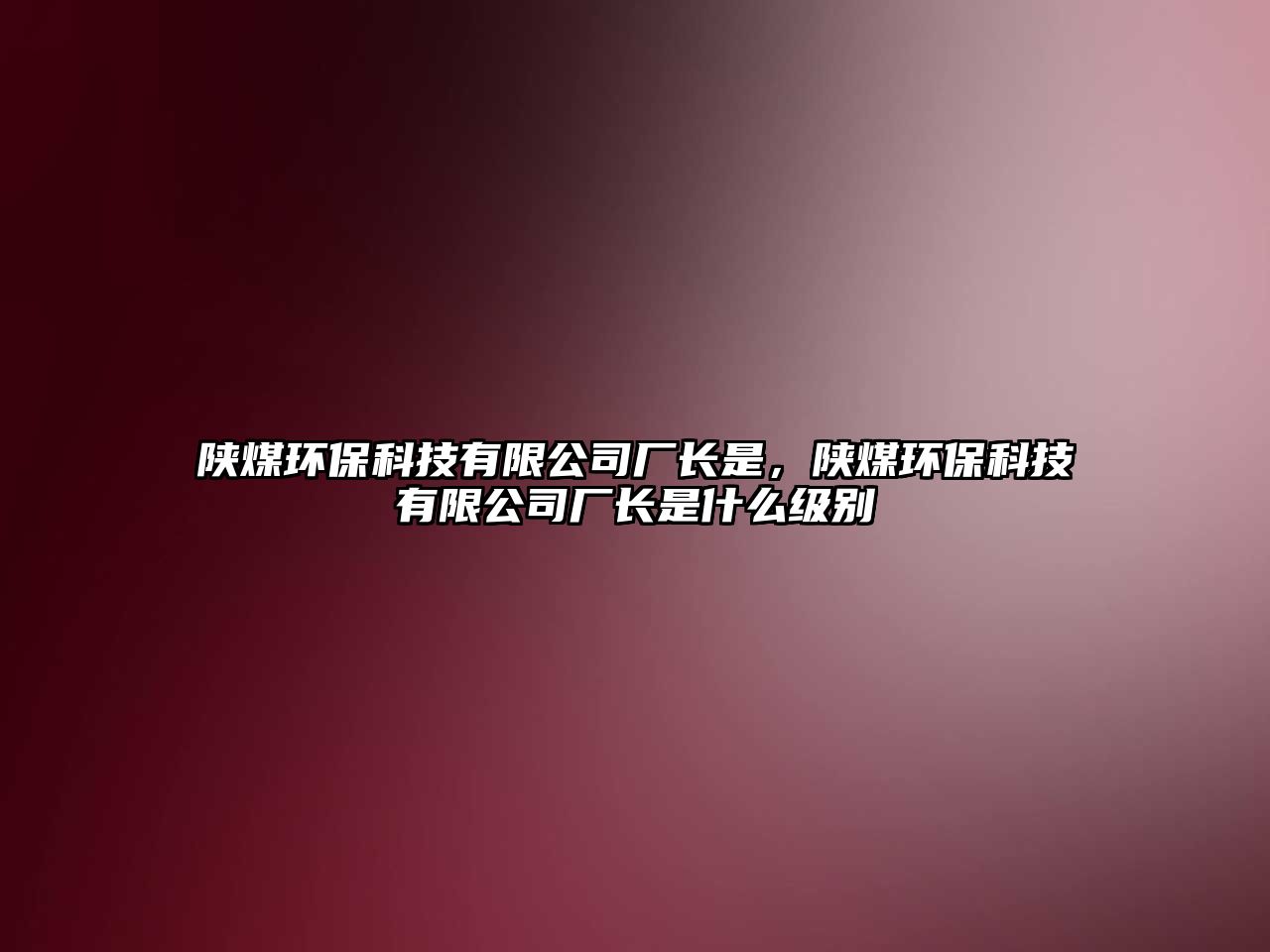 陜煤環(huán)保科技有限公司廠長是，陜煤環(huán)保科技有限公司廠長是什么級別