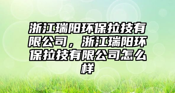 浙江瑞陽(yáng)環(huán)保拉技有限公司，浙江瑞陽(yáng)環(huán)保拉技有限公司怎么樣