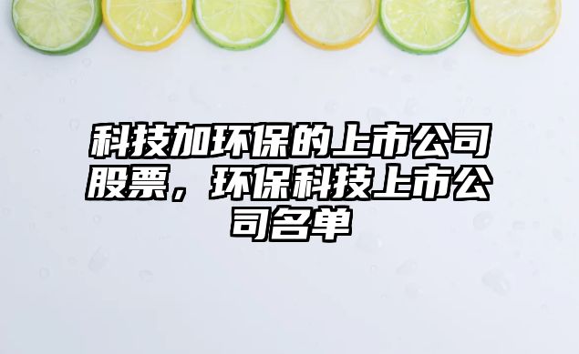 科技加環(huán)保的上市公司股票，環(huán)?？萍忌鲜泄久麊?/> 
									</a>
									<h4 class=