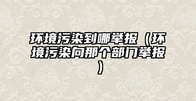 環(huán)境污染到哪舉報（環(huán)境污染向那個部門舉報）