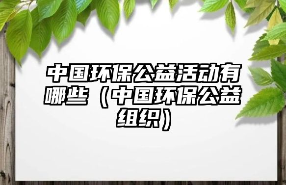 中國(guó)環(huán)保公益活動(dòng)有哪些（中國(guó)環(huán)保公益組織）