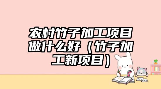 農(nóng)村竹子加工項目做什么好（竹子加工新項目）