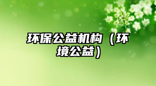 環(huán)保公益機構(gòu)（環(huán)境公益）