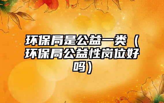 環(huán)保局是公益一類(lèi)（環(huán)保局公益性崗位好嗎）